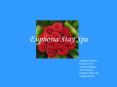 Euphoria Stay Spa PowerPoint PPT Presentation