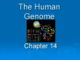 The Human Genome PowerPoint PPT Presentation