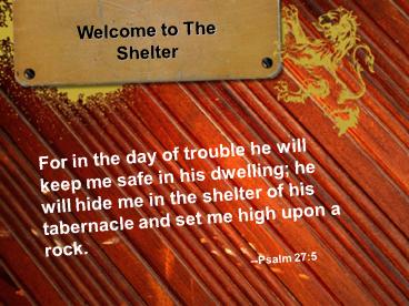 Welcome to The Shelter