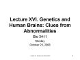 Lecture XVI. Genetics and Human Brains: Clues from Abnormalities PowerPoint PPT Presentation