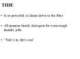 TIDE PowerPoint PPT Presentation