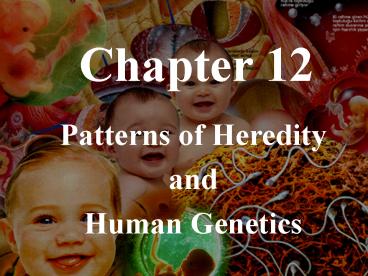 BDOL Interactive Chalkboard