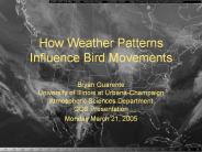 How Weather Patterns Influence Bird Movements