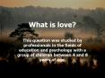 El amor PowerPoint PPT Presentation