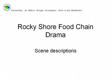 Rocky Shore Food Chain Drama
