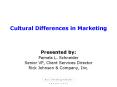Cultural Differences in Marketing PowerPoint PPT Presentation