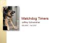 Watchdog Timers PowerPoint PPT Presentation