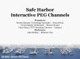 Safe Harbor Interactive PEG Channels PowerPoint PPT Presentation