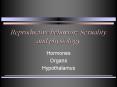 Reproductive behavior: Sexuality and physiology PowerPoint PPT Presentation