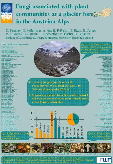 EktomykorrhizaMonitoring III