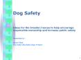 Dog Safety Ideas for the breederrescue to help encourage responsible ownership and increase public s PowerPoint PPT Presentation