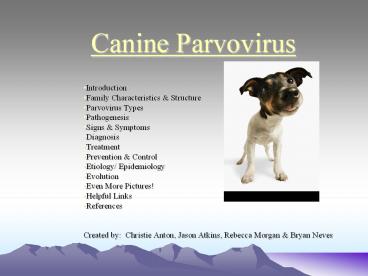 Canine Parvovirus