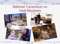 National%20Consortium%20on%20Deaf-Blindness PowerPoint PPT Presentation