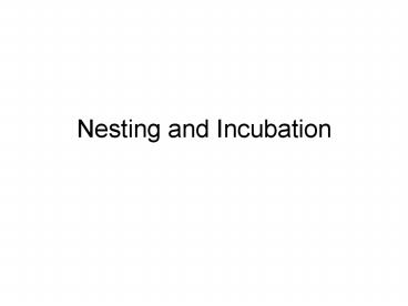 Nesting and Incubation