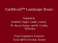 EarthKind Landscape Roses PowerPoint PPT Presentation
