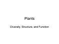 Plants PowerPoint PPT Presentation