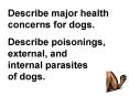 Describe major health concerns for dogs. PowerPoint PPT Presentation