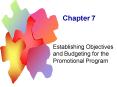 Establishing Objectives and Budgeting for the Promotional Program PowerPoint PPT Presentation