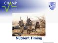 Nutrient Timing PowerPoint PPT Presentation