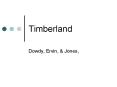 Timberland PowerPoint PPT Presentation