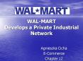WALMART Develops a Private Industrial Network