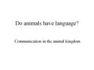 Do animals have language?