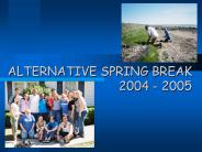 ALTERNATIVE SPRING BREAK 2004 2005