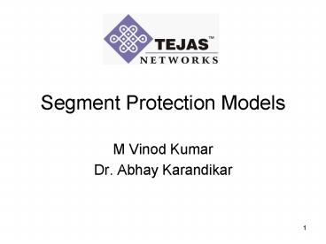 Segment Protection Models
