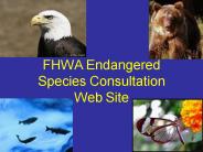FHWA Endangered Species Consultation Web Site