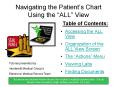 Navigating the Patients Chart Using the ALL View PowerPoint PPT Presentation