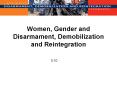 Women, Gender and Disarmament, Demobilization and Reintegration PowerPoint PPT Presentation