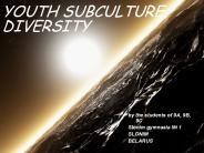 YOUTH%20SUBCULTURE%20DIVERSITY
