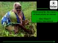 Food security: the impact of food prices on women PowerPoint PPT Presentation