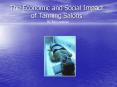 The Economic and Social Impact of Tanning Salons PowerPoint PPT Presentation