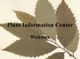 Plant Information Center PowerPoint PPT Presentation
