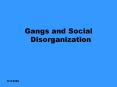 Gangs and Social Disorganization PowerPoint PPT Presentation