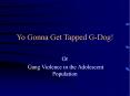 Yo Gonna Get Tapped G-Dog! PowerPoint PPT Presentation