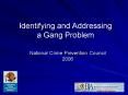 Identifying and Addressing a Gang Problem PowerPoint PPT Presentation