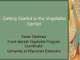 Getting Started in the Vegetable Garden PowerPoint PPT Presentation