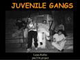 JUVENILE GANGS PowerPoint PPT Presentation