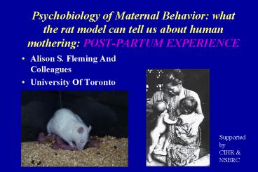Psychobiology of Maternal Behavior: what the rat model can tell us ...