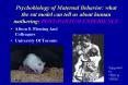 Psychobiology of Maternal Behavior: what the rat model can tell us about human mothering: POSTPARTUM PowerPoint PPT Presentation