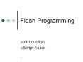 Flash Programming PowerPoint PPT Presentation