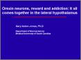 Orexin neurons, reward and addiction: It all comes together in the lateral hypothalamus PowerPoint PPT Presentation