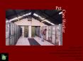 Pet PowerPoint PPT Presentation