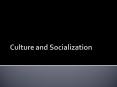 Culture and Socialization PowerPoint PPT Presentation