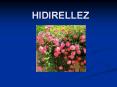 HIDIRELLEZ PowerPoint PPT Presentation