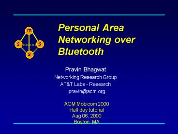 Personal Area Networking over Bluetooth