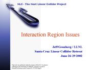 Interaction Region Issues