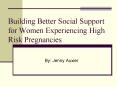 Building Better Social Support for Women Experiencing High Risk Pregnancies PowerPoint PPT Presentation